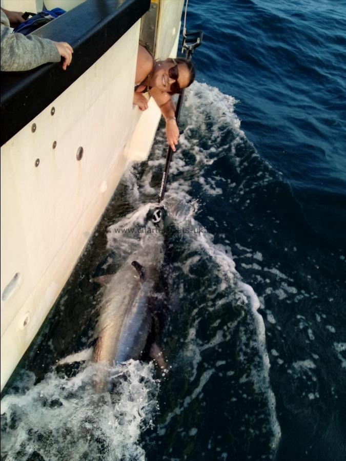 2 oz Bluefin Tuna by Unknown