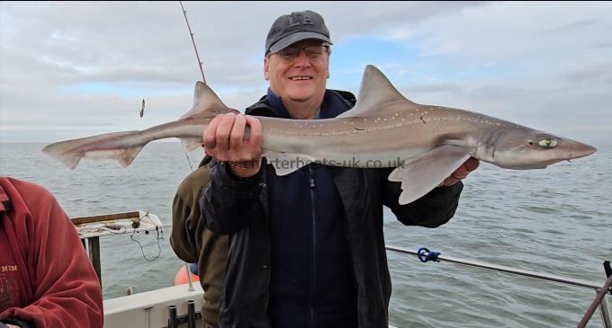 8 lb 1 oz Starry Smooth-hound by Steve