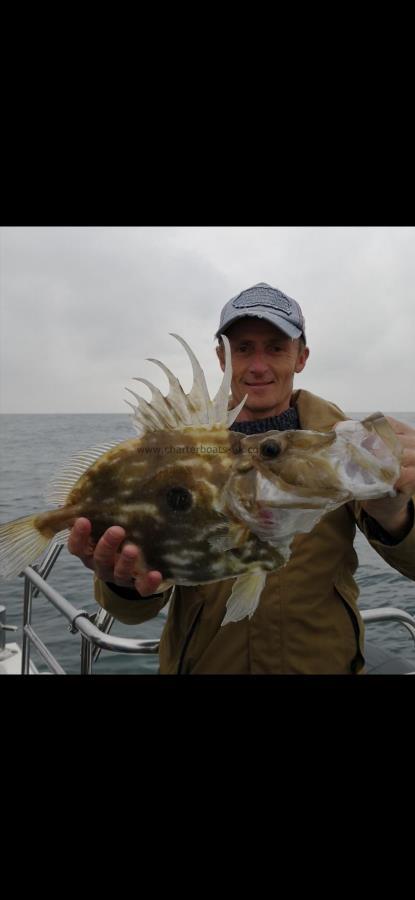 3 lb 3 oz John Dory by Unknown