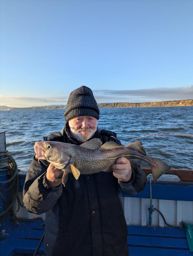 4 lb Cod by Unknown