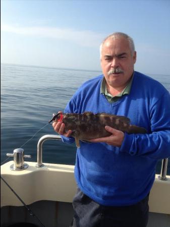 2 lb 7 oz Ballan Wrasse by Ted