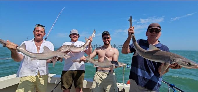 9 lb 2 oz Starry Smooth-hound by Dave