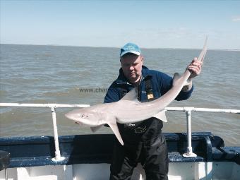 14 lb 6 oz Starry Smooth-hound by Bruce