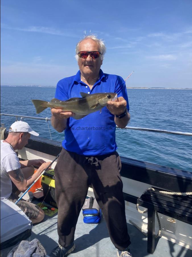 1 lb 1 oz Pollock by Unknown