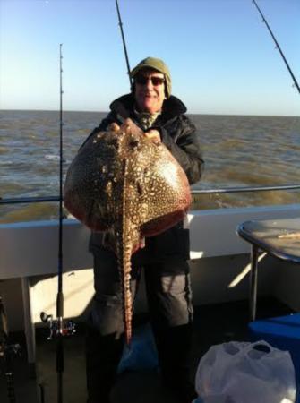 13 lb Thornback Ray by tony