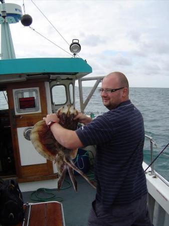 3 lb Undulate Ray by Phil Lees