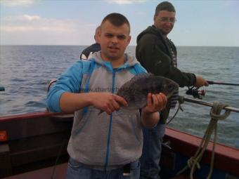 2 lb 8 oz Black Sea Bream by Polish Pete