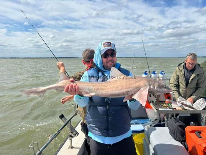 15 lb Smooth-hound (Common) by Stu