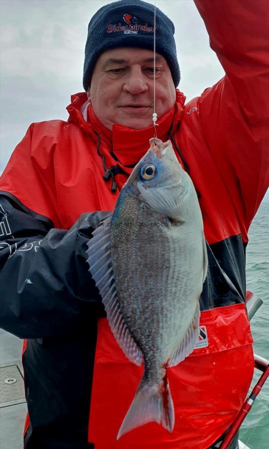 2 lb Pollock by Steve