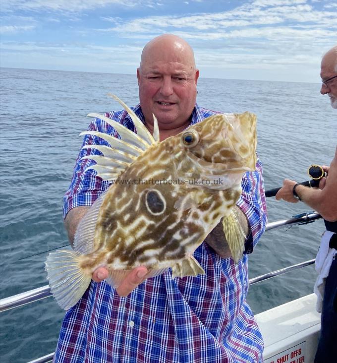 3 lb John Dory by Unknown