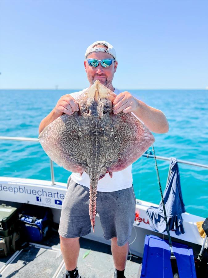 12 lb Thornback Ray by Unknown