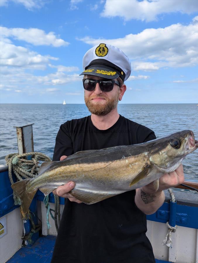 5 lb 4 oz Pollock by Unknown