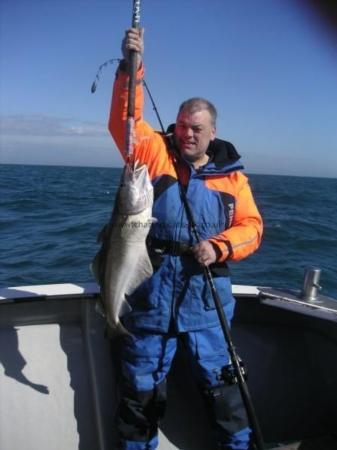 11 lb Pollock by Nige Pritchard