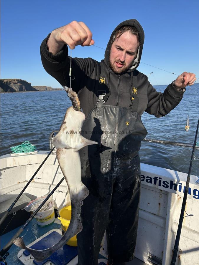 3 lb 10 oz Lesser Spotted Dogfish by Fergus.