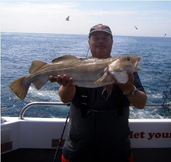 12 lb 8 oz Cod by Unknown