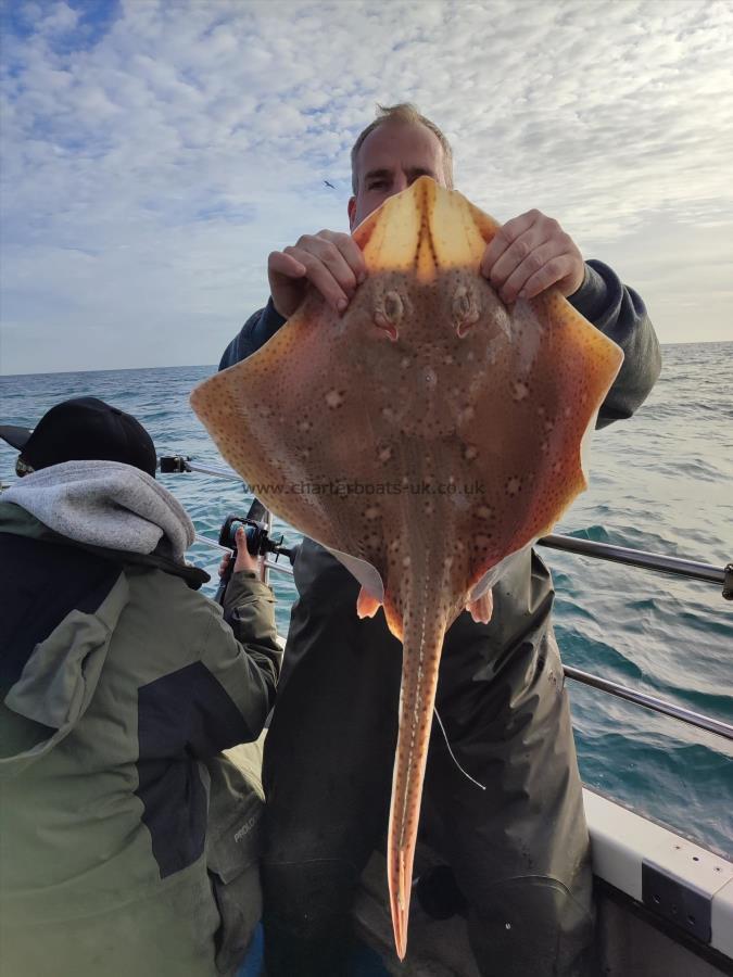 15 lb Blonde Ray by Unknown