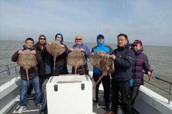 11 lb Thornback Ray by Unknown