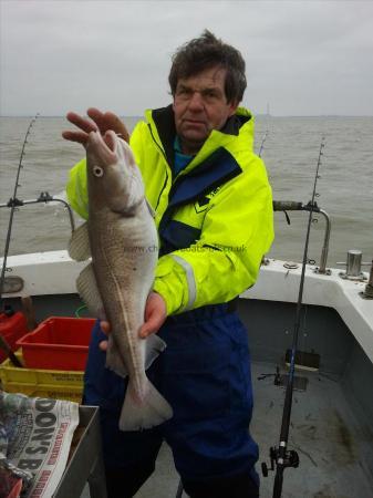 5 lb Cod by Unknown