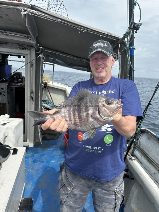 1 lb Black Sea Bream by Unknown