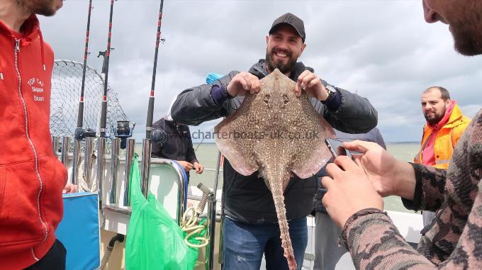 12 lb Thornback Ray by Unknown