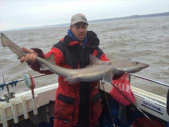 12 lb Starry Smooth-hound by Darren Kendall