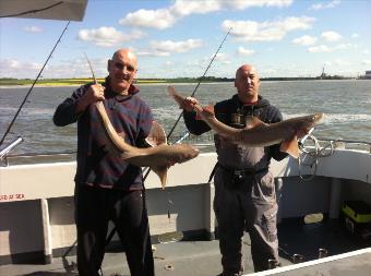 14 lb 11 oz Starry Smooth-hound by nicky / tony