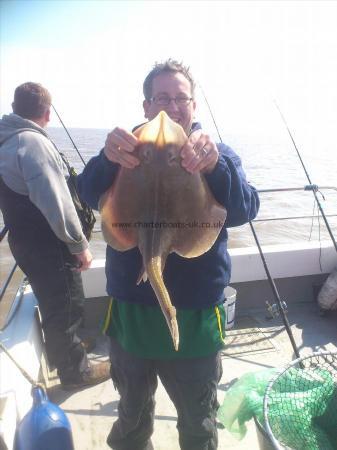 7 lb Small-Eyed Ray by rob davies