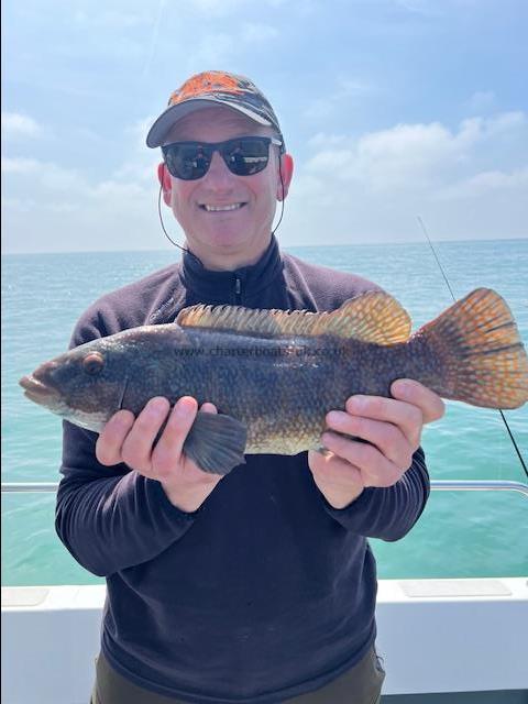 4 lb Ballan Wrasse by Jon ,