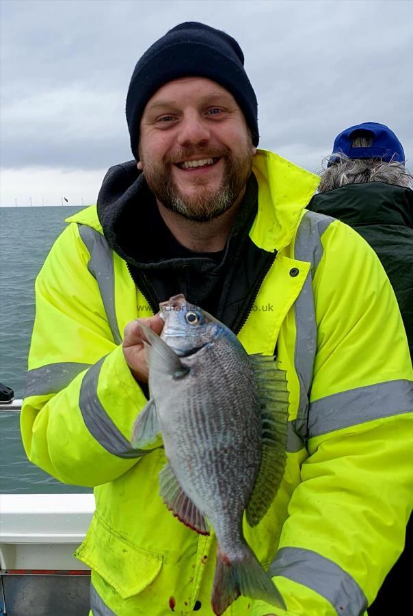 2 lb Black Sea Bream by Unknown