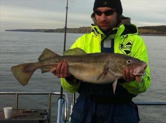 11 lb 4 oz Cod by Unknown