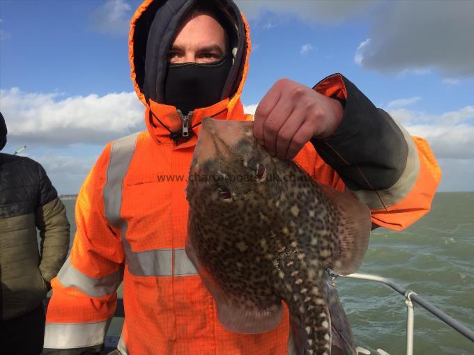 4 lb 1 oz Thornback Ray by Unknown