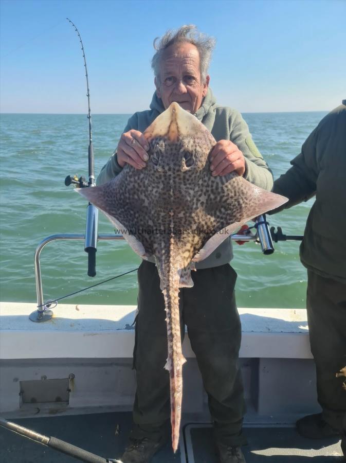 10 lb Thornback Ray by Clive