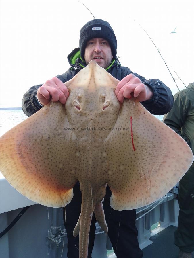 1 lb Blonde Ray by Unknown