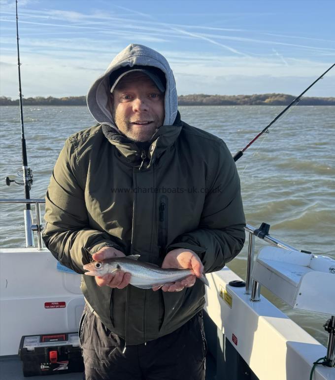 1 lb Whiting by Chris