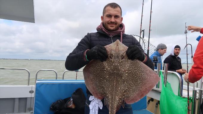 12 lb Thornback Ray by Unknown