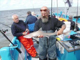 7 lb Smooth-hound (Common) by Phil