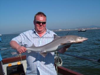 11 lb 7 oz Starry Smooth-hound by Glyn Bellis