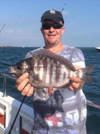 3 lb Black Sea Bream by Unknown