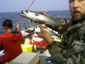 3 lb Mackerel by Unknown