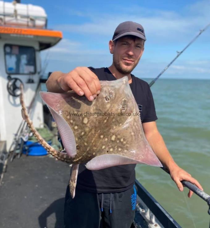 4 lb Thornback Ray by Unknown