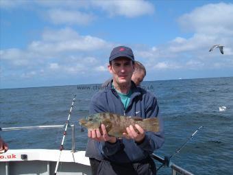 3 lb Ballan Wrasse by dave phillips