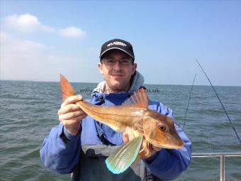 2 lb Tub Gurnard by plastic paddy