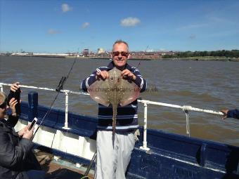 5 lb Thornback Ray by Unknown