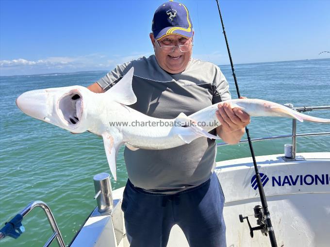 25 lb Tope by Steve Leach