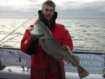 13 lb 7 oz Cod by Unknown