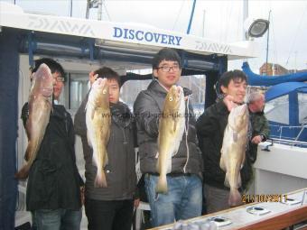 6 lb 14 oz Cod by Unknown