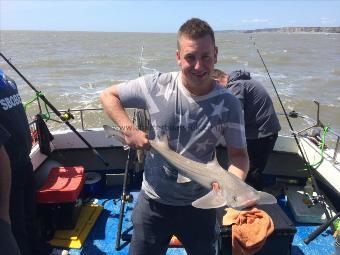 10 lb Starry Smooth-hound by Unknown