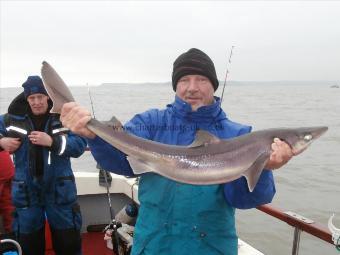 12 lb 8 oz Spurdog by NormaN Dawkins