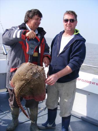 15 lb 10 oz Thornback Ray by Dave Cousins