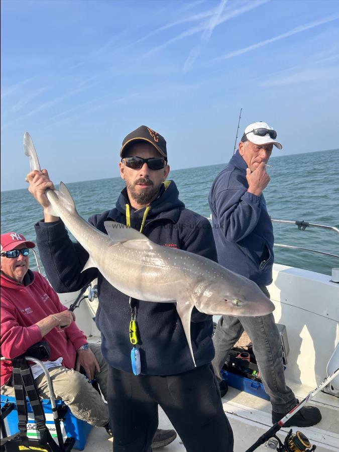 13 lb Smooth-hound (Common) by Pedro